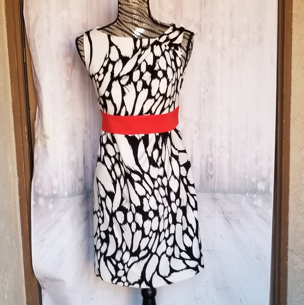 Sandra Darren black white coral career dress sz 4